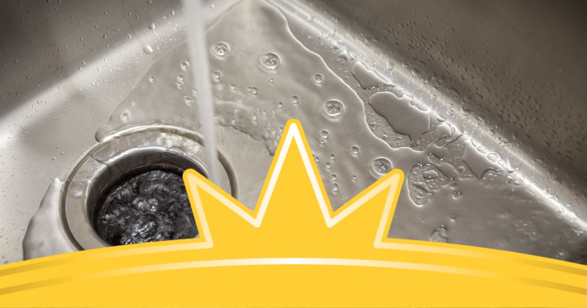 Water Rotton 3 Reasons Why Your Water Smells Like Rotten Eggs